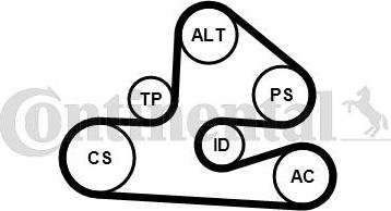 Contitech 6PK1590K1 - Kit Cinghie Poly-V www.autoricambit.com