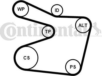 Contitech 6PK1555K1 - Kit Cinghie Poly-V www.autoricambit.com