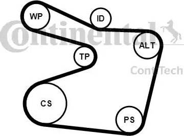 Continental 6PK1555K1 - Kit Cinghie Poly-V www.autoricambit.com