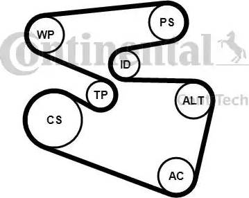 Continental 6PK1555K3 - Kit Cinghie Poly-V www.autoricambit.com