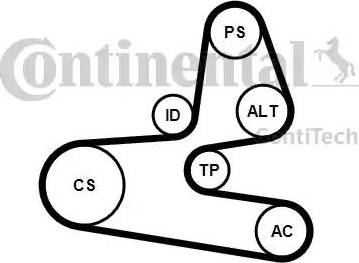 Continental 6PK1564K1 - Kit Cinghie Poly-V www.autoricambit.com