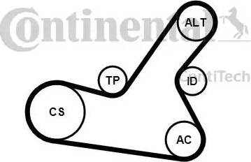 Continental 6PK1564K2 - Kit Cinghie Poly-V www.autoricambit.com