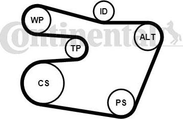 Continental 6PK1538WP1 - Pompa acqua + Kit cinghia Poly V www.autoricambit.com