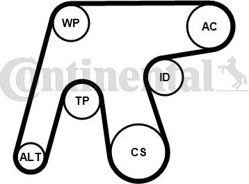 Contitech 6PK1642WP3 - Pompa acqua + Kit cinghia Poly V www.autoricambit.com