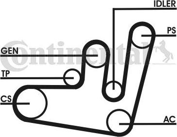 CONTITECH 6PK1660D2 - Kit Cinghie Poly-V www.autoricambit.com