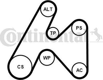 CONTITECH 6PK1660K3 - Kit Cinghie Poly-V www.autoricambit.com