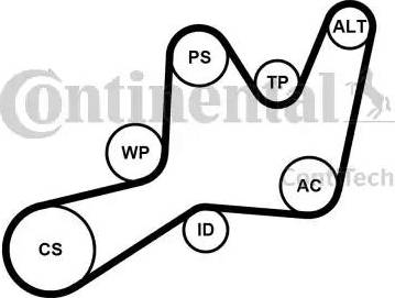 Continental 6PK1605K1 - Kit Cinghie Poly-V www.autoricambit.com