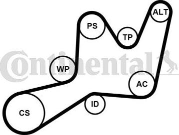 CONTITECH 6PK1605K1 - Kit Cinghie Poly-V www.autoricambit.com