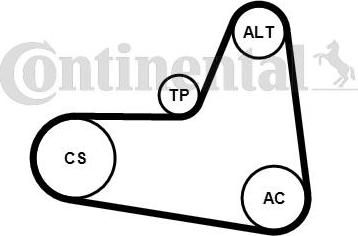 Contitech 6 PK 1045 K2 - Kit Cinghie Poly-V www.autoricambit.com