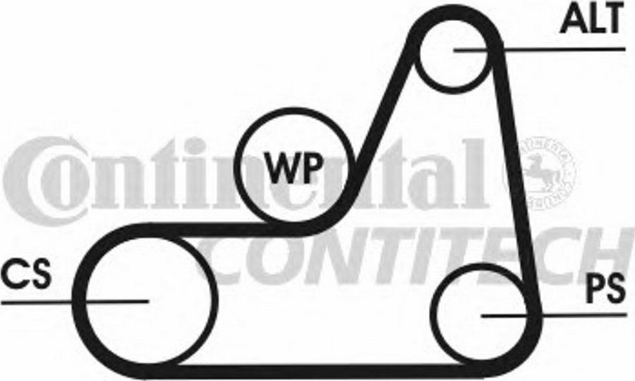 CONTITECH 6PK1042 ELAST T3 - Cinghia Poly-V www.autoricambit.com