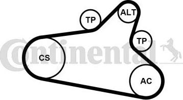 Contitech 6PK1020 EXTRA K1 - Kit Cinghie Poly-V www.autoricambit.com