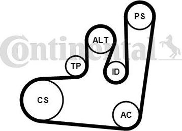 Continental 6PK1145WP1 - Pompa acqua + Kit cinghia Poly V www.autoricambit.com