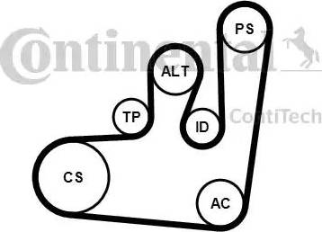 Continental 6PK1145K1 - Kit Cinghie Poly-V www.autoricambit.com