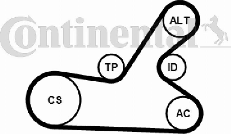 Contitech 6PK1145K3 - Cinghia Poly-V www.autoricambit.com