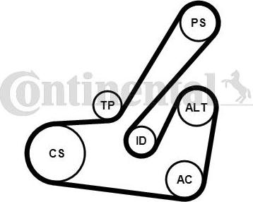 Contitech 6PK1145K2 - Kit Cinghie Poly-V www.autoricambit.com