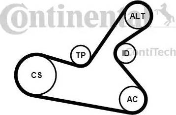 Continental 6PK1125K1 - Kit Cinghie Poly-V www.autoricambit.com