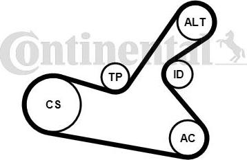 CONTITECH 6PK1125K1 - Kit Cinghie Poly-V www.autoricambit.com