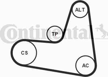 CONTITECH 6 PK 1120 K2 - Kit Cinghie Poly-V www.autoricambit.com