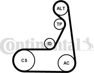 CONTITECH 6 PK 1173 K1 - Kit Cinghie Poly-V www.autoricambit.com