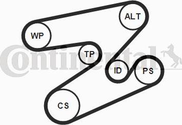 CONTITECH 6PK1893K1 - Kit Cinghie Poly-V www.autoricambit.com