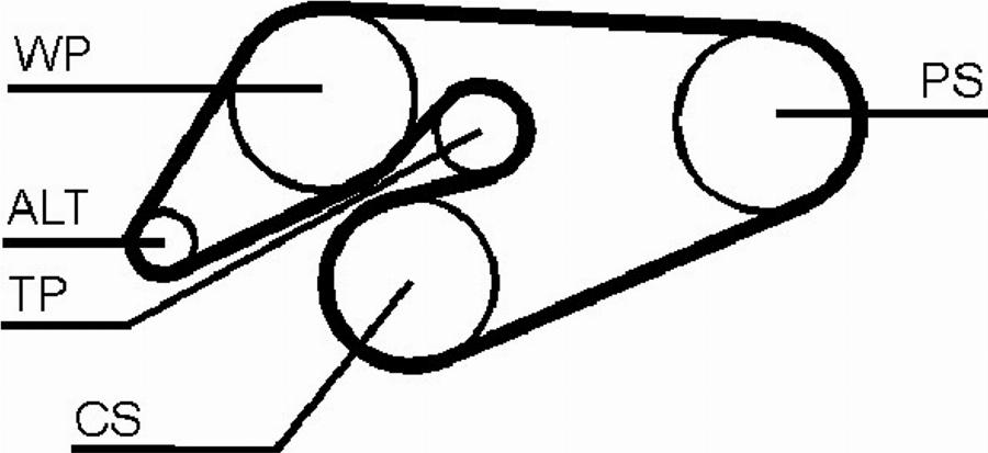 Contitech 6PK1885K1 - Kit Cinghie Poly-V www.autoricambit.com