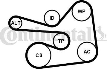 CONTITECH 6PK1830K1 - Kit Cinghie Poly-V www.autoricambit.com