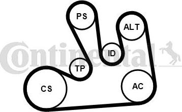 CONTITECH 6PK1822 EXTRA K1 - Kit Cinghie Poly-V www.autoricambit.com