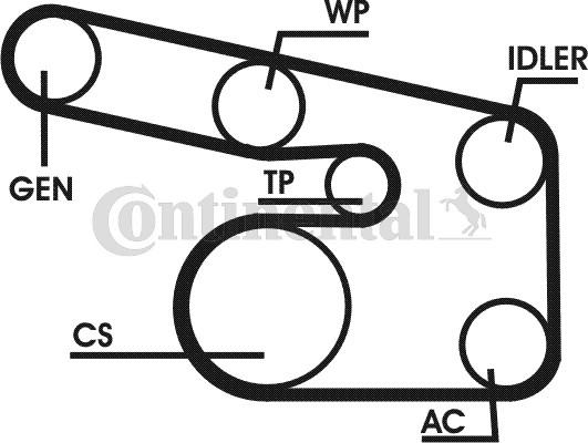 CONTITECH 6PK1873D1 - Kit Cinghie Poly-V www.autoricambit.com