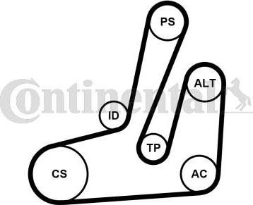 Contitech 6PK1390K1 - Kit Cinghie Poly-V www.autoricambit.com