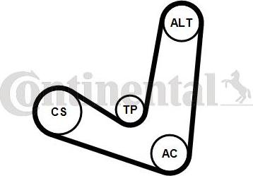 CONTITECH 6PK1244K2 - Kit Cinghie Poly-V www.autoricambit.com