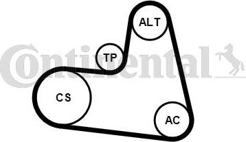 Contitech 6PK1217K1 - Kit Cinghie Poly-V www.autoricambit.com