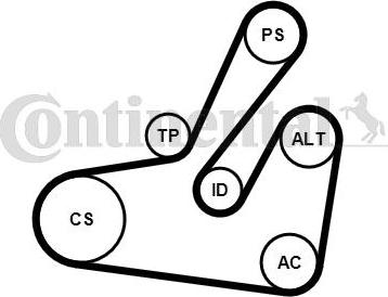 Contitech 6PK1795K2 - Kit Cinghie Poly-V www.autoricambit.com