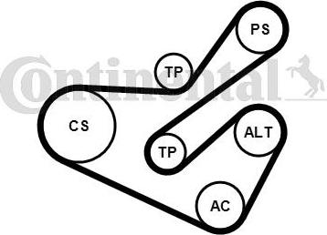 Contitech 6PK1740K1 - Kit Cinghie Poly-V www.autoricambit.com