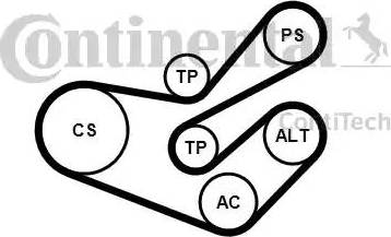 Continental 6PK1750K3 - Kit Cinghie Poly-V www.autoricambit.com