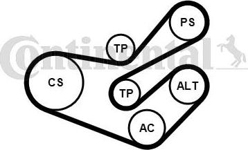 Contitech 6PK1750K3 - Kit Cinghie Poly-V www.autoricambit.com