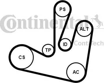 Continental 6PK1750K2 - Kit Cinghie Poly-V www.autoricambit.com