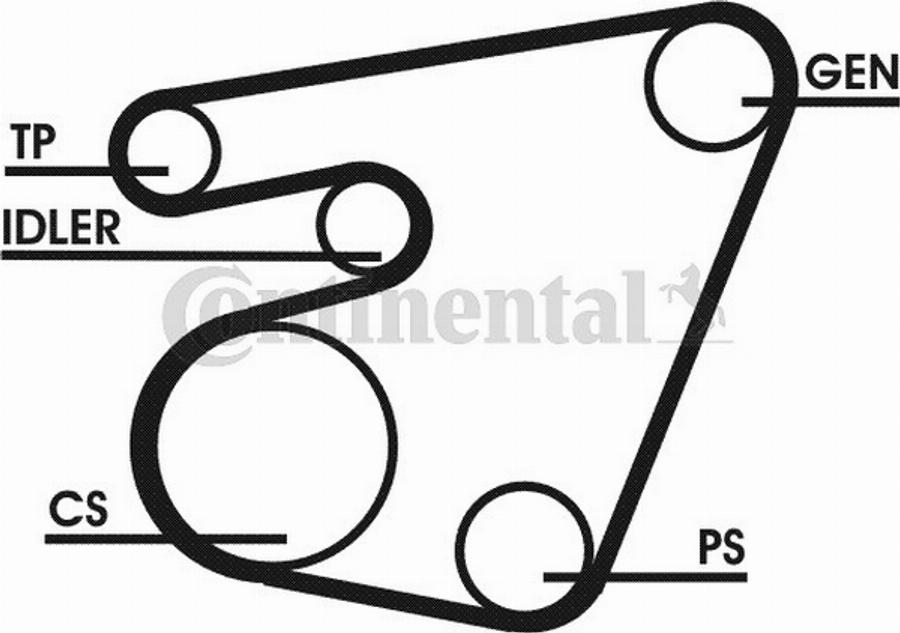 Contitech 6PK1751D1 - Puleggia cinghia, Albero a gomiti www.autoricambit.com