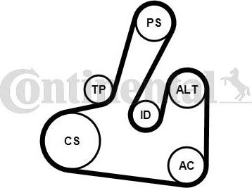 CONTITECH 6PK1705K2 - Kit Cinghie Poly-V www.autoricambit.com