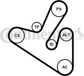 Contitech 6PK1710K1 - Kit Cinghie Poly-V www.autoricambit.com