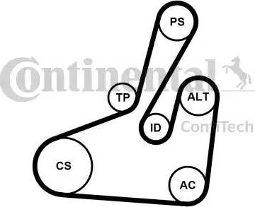 Continental 6PK1710K2 - Kit Cinghie Poly-V www.autoricambit.com