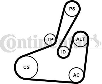 Contitech 6PK1710K2 - Kit Cinghie Poly-V www.autoricambit.com