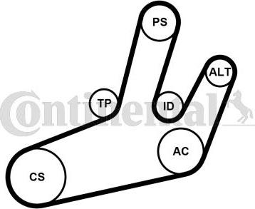 Contitech 6PK1780K1 - Kit Cinghie Poly-V www.autoricambit.com