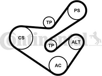 Continental 6PK1733K5 - Kit Cinghie Poly-V www.autoricambit.com