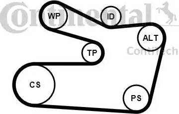 Continental 6PK1733K2 - Kit Cinghie Poly-V www.autoricambit.com