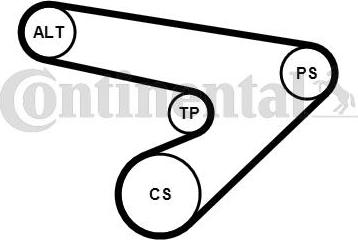 Contitech 6PK1725K1 - Kit Cinghie Poly-V www.autoricambit.com