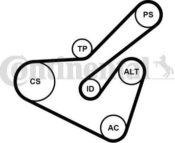 Contitech 6PK1725K2 - Kit Cinghie Poly-V www.autoricambit.com