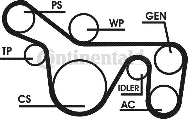 Contitech 6PK1720D1 - Kit Cinghie Poly-V www.autoricambit.com