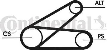 Contitech 6PK873 ELAST T1 - Kit Cinghie Poly-V www.autoricambit.com