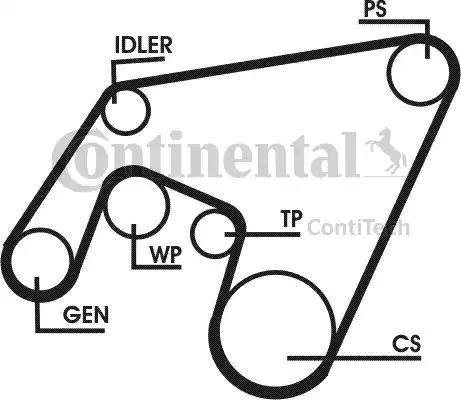 Continental 6PK2160D1 - Cinghia Poly-V www.autoricambit.com