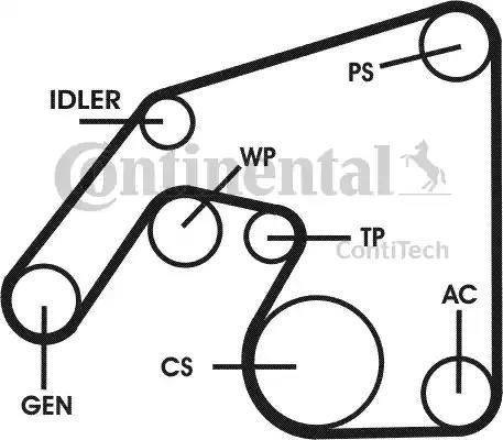 Continental 6PK2240D1 - Cinghia Poly-V www.autoricambit.com